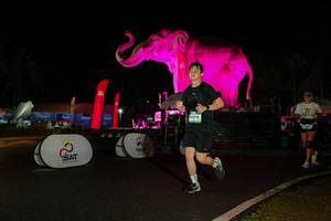 BIB: 
                            <button type="button" onclick="openModal(26535412)" class="btn btn-primary btn-sm float-right btn-popup" data-toggle="modal" data-target=".modal-high-quality">
                        <i class="fas fa-shopping-cart"></i> Add to Cart
                    </button>
                                            <button type="button" onclick="isThisMe(26535412, true)" class="btn btn-success btn-sm float-right btn-popup btn-isme hidden" data-toggle="tooltip" data-placement="bottom" title="นี่คือรูปของคุณใช่ไหม คลิกที่นี่เพื่อเอาเข้าอัลบั้ม">
                        <i class="fas fa-plus"></i> Add to album
                    </button>
                    <button type="button" onclick="isThisMe(26535412, false)" class="btn btn-warning btn-sm float-right btn-popup btn-isnotme hidden">
                        <i class="fas fa-ban"></i> Remove from album
                    </button>